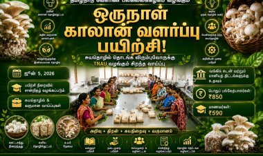 சுயதொழில் தொடங்க விரும்புகிறீர்களா? TNAU வழங்கும் ஒருநாள் காலான் வளர்ப்பு பயிற்சி!