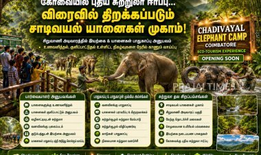 கோவையின் அடுத்த சுற்றுலா ஈர்ப்பு மையம்... பொதுமக்களுக்காக திறக்கப்படவுள்ள சாடிவயல் யானைகள் முகாம்!